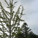 포석로4-2(서) 이미지