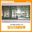 부모와 자녀가 함께하는 책놀이 B | 책과 배움이 함께하는 공간, 양산 지혜마루 방문 후기