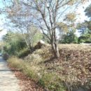 구암동427 이미지