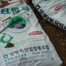 인서농장 이미지