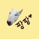 카카오민박 이미지