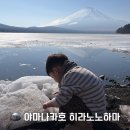 백조공원 | 야마나카호 히라노노하마 후기 | 후지산과 백조를 만날 수 있는 호숫가