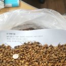 슈가포포