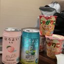 일본탐방 with 채채, 뀨밍