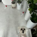 늘, 바라봄 이미지