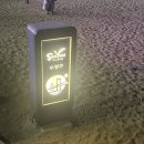 🌊 부산 광안리에서의 봄같은 하루추억 이미지