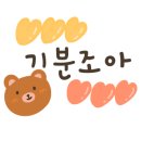 헤어코코리 이미지