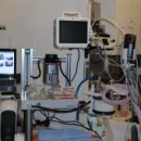 동물병원닥터스 이미지