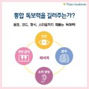 신비음악학원 네이버블로그