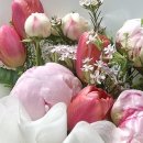 충주시 동수10길 36-1 이미지