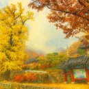 용문산관광지(주차장화장실) | 양평 용문사 - 천년 은행나무가 지켜온 신라의 고찰