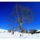 정기목장 이미지