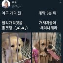 2위를 스윕승하더니, 꼴찌한테 스윕패 위기 이미지