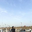 묵호잠자리 | 강원도 묵호 ktx 1박 2일 여행 (feat. 언니야들 보필기..)