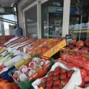 진도청과 이미지