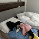 아오라스튜디오 이미지