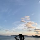 파티디오