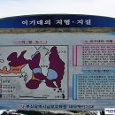 들꽃약국 이미지