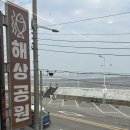 해상공원회집 | 오이도 맛집 추천, 단체모임하기 좋은 <해상공원횟집 오이도본점> 해상카세 후기