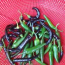 조홍한의원 이미지