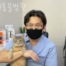 금천동물병원 이미지