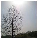 율동생태학습원 이미지