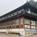 벽오동화순점 이미지