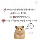 벌써 여름 예고편