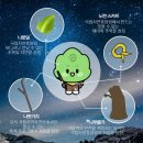 소똥령가는길 | 강원도 고성_ 진부령 자연휴양림을 다녀오다