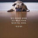 ㈜플러스모터스 이미지