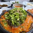 동해안동태찜 - 부여군 금성로 41 | 동해안동태찜