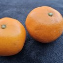 촌돼지와보리밥 이미지