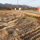 대조리마을회관 이미지