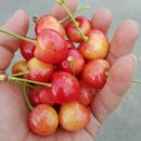 별샘농장 이미지