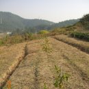 사곡농장 이미지