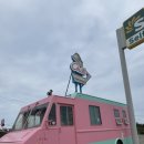 예삐하우스애견샵 | 여기가 LA이야? 양양이야? ‘칠클럽하우스’ 힙한 애견동반카페