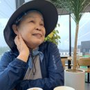 해파랑길 | 해파랑길 후기