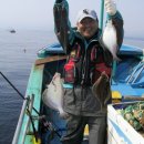 관광 꿈꾸는숲 펜션 이미지