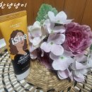 제이에이치티