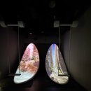 [속초 가볼만한곳] 인생샷 갱신! 오감 만족 실감형 미디어아트 '뮤지엄엑스(MUSEUM X)' 방문 후기