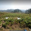 대추공인중개사사무소 이미지