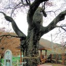 내태2리 이미지