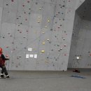 강변장어 이미지