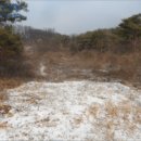 한반도면-1 이미지