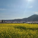 도계초 소달분교장 이미지