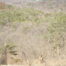 복탄보건진료소 이미지