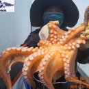 1대물호 이미지