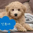 삼귀 이미지
