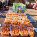 온천2동-20 이미지