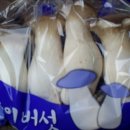 통통과일 이미지